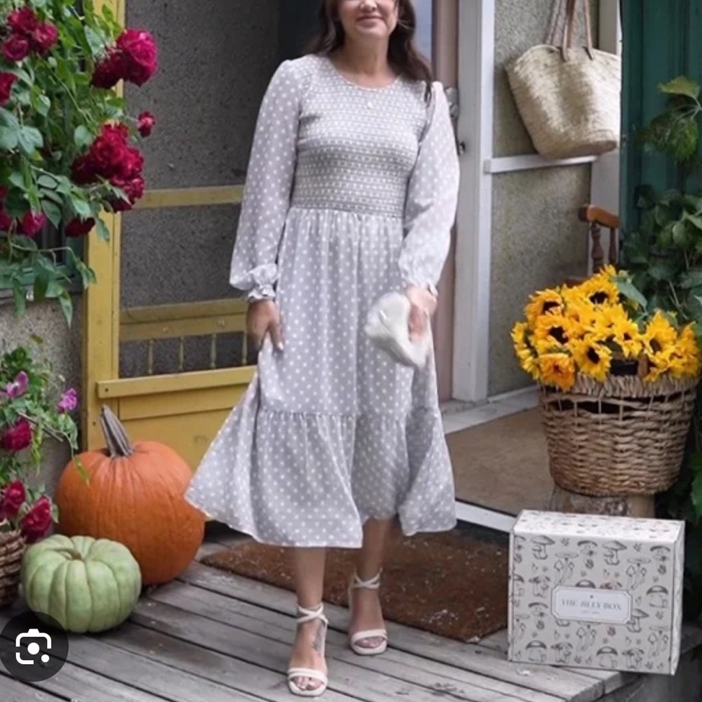 NWT THE JILLY BOX Mad About Style: The Grace Midi Dress